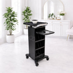 Metal Salon Trolley with Wheels, Applicator Bowl & Brush - Hair coloring trolley with applicator bowl and brush - Hair coloring trolley in UAE - Dayjour
