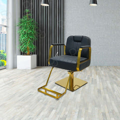 Luxury Hydraulic Salon Styling Chair  Gold & Black