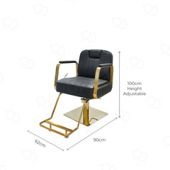 Luxury Hydraulic Salon Styling Chair  Gold & Black